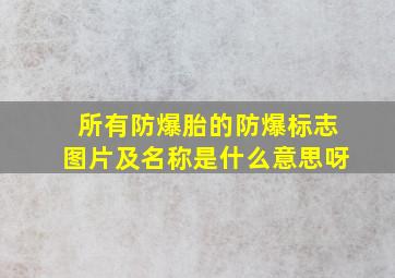 所有防爆胎的防爆标志图片及名称是什么意思呀