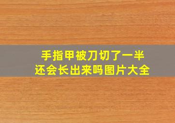 手指甲被刀切了一半还会长出来吗图片大全