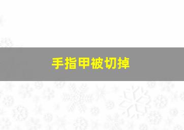 手指甲被切掉