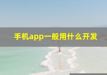 手机app一般用什么开发