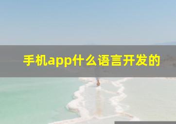 手机app什么语言开发的