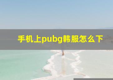 手机上pubg韩服怎么下