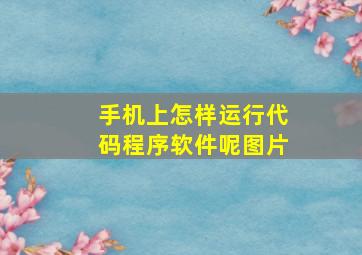 手机上怎样运行代码程序软件呢图片