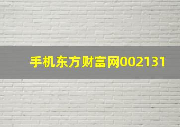 手机东方财富网002131