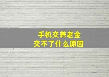 手机交养老金交不了什么原因