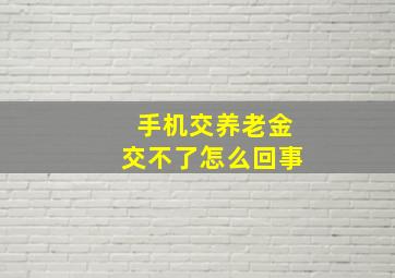 手机交养老金交不了怎么回事