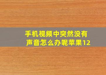 手机视频中突然没有声音怎么办呢苹果12