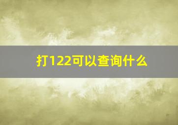 打122可以查询什么