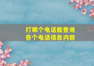 打哪个电话能查询各个电话信息内容