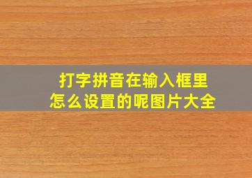 打字拼音在输入框里怎么设置的呢图片大全