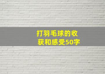 打羽毛球的收获和感受50字