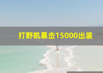 打野凯暴击15000出装