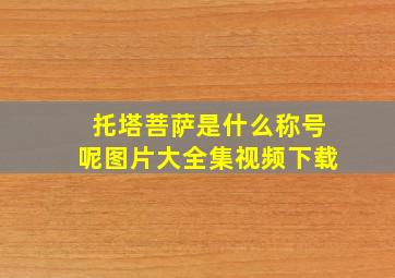 托塔菩萨是什么称号呢图片大全集视频下载