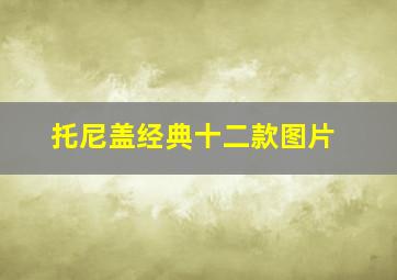 托尼盖经典十二款图片