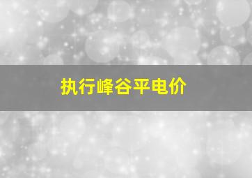 执行峰谷平电价