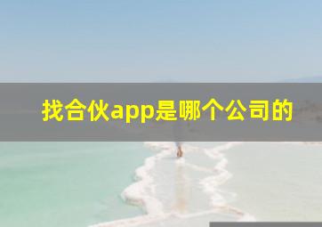 找合伙app是哪个公司的