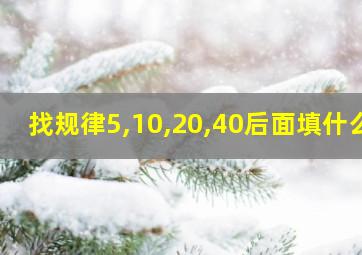 找规律5,10,20,40后面填什么