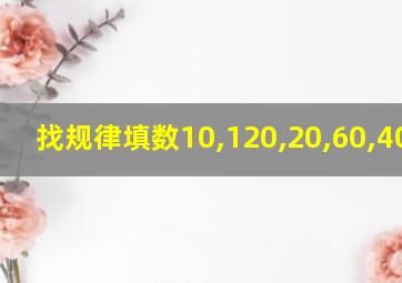 找规律填数10,120,20,60,40,30