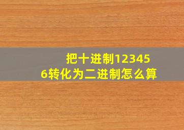 把十进制123456转化为二进制怎么算