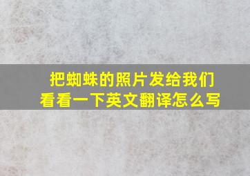 把蜘蛛的照片发给我们看看一下英文翻译怎么写