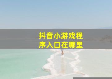 抖音小游戏程序入口在哪里