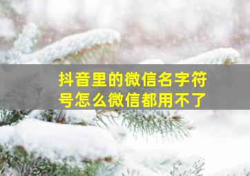 抖音里的微信名字符号怎么微信都用不了