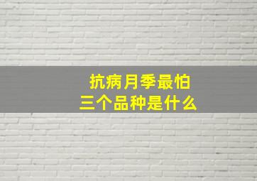 抗病月季最怕三个品种是什么