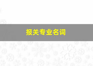 报关专业名词