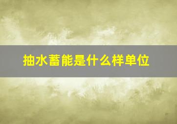 抽水蓄能是什么样单位