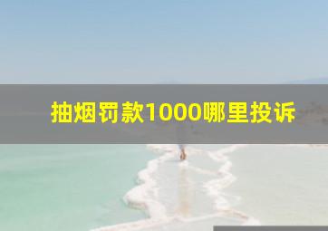 抽烟罚款1000哪里投诉