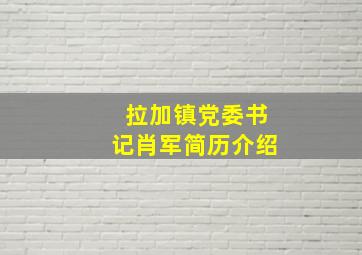 拉加镇党委书记肖军简历介绍