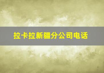 拉卡拉新疆分公司电话