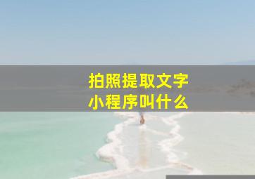 拍照提取文字小程序叫什么