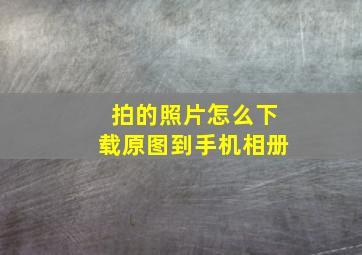 拍的照片怎么下载原图到手机相册