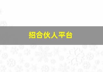 招合伙人平台