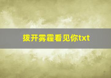 拨开雾霾看见你txt