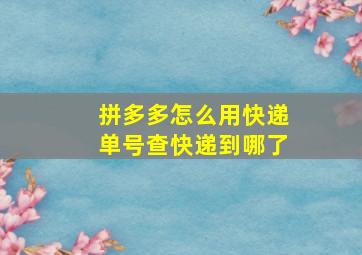 拼多多怎么用快递单号查快递到哪了