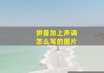 拼音加上声调怎么写的图片