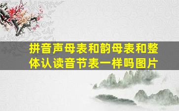 拼音声母表和韵母表和整体认读音节表一样吗图片