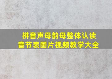 拼音声母韵母整体认读音节表图片视频教学大全