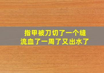 指甲被刀切了一个缝流血了一周了又出水了