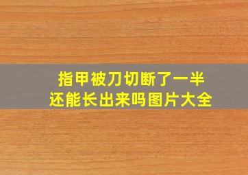 指甲被刀切断了一半还能长出来吗图片大全