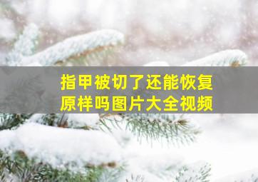 指甲被切了还能恢复原样吗图片大全视频