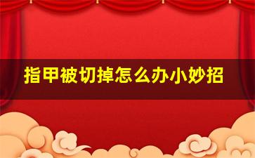 指甲被切掉怎么办小妙招