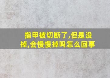 指甲被切断了,但是没掉,会慢慢掉吗怎么回事