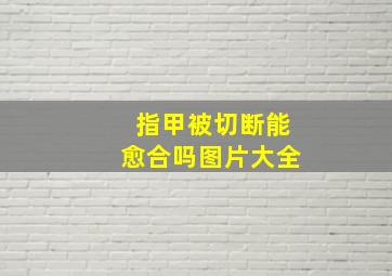 指甲被切断能愈合吗图片大全