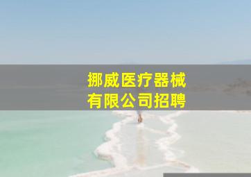 挪威医疗器械有限公司招聘