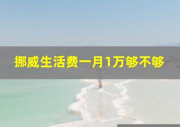 挪威生活费一月1万够不够