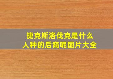 捷克斯洛伐克是什么人种的后裔呢图片大全