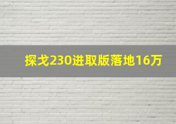 探戈230进取版落地16万